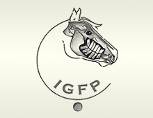 IGFP conference 2016 in Niedernhausen - RAMADA Hotel Micador